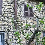 Casa Biscarello - Borgo E