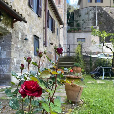 Casa de Férias Casa Biscarello - Borgo E *