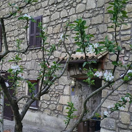 Casa de Férias Casa Biscarello - Borgo E